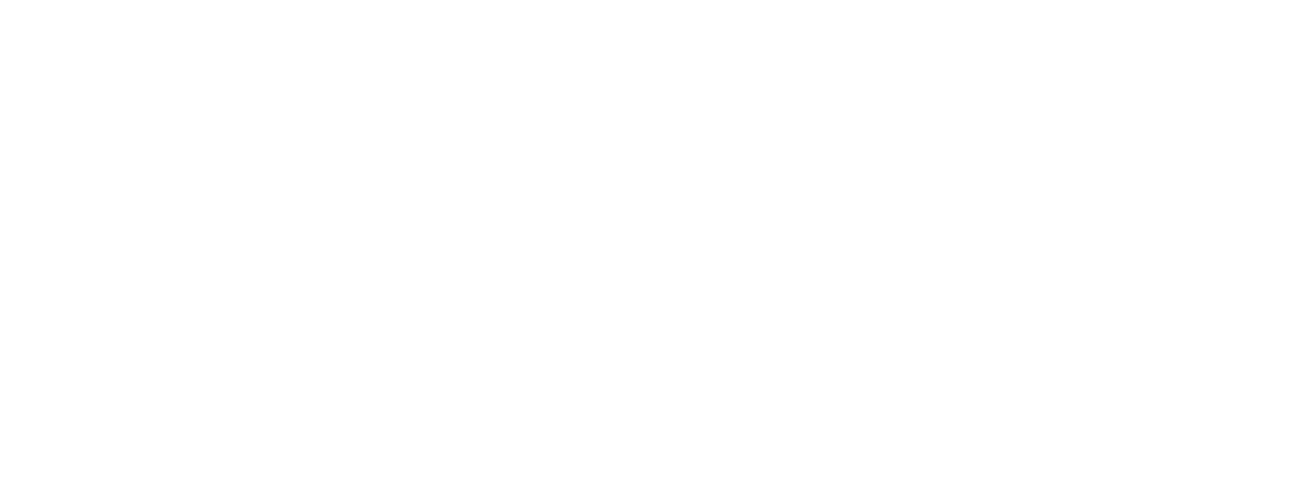 STT logo